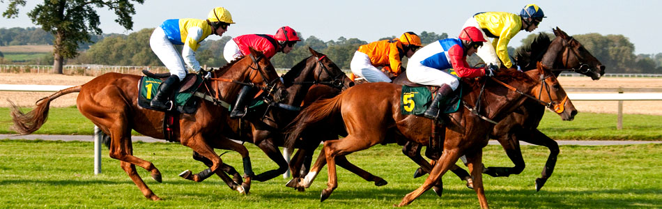 Horse Racing Tax